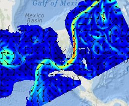 Florida Straits Currents during Nyad Swim