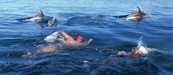 Ryan Stramrood and Theo Yach swimming to Robben Island, South Africa